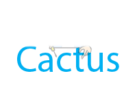 Ремонт электросамокатов Cactus