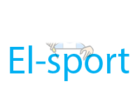 Ремонт электросамокатов El-sport