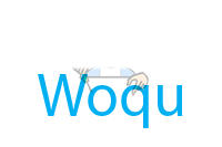 Ремонт электросамокатов Woqu